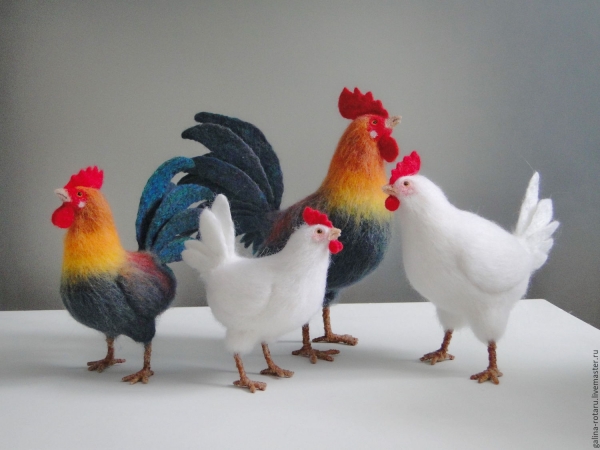 Семейство петухов Семейство петухов