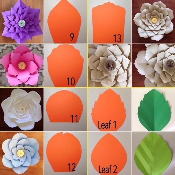 От чего зависит вид цветка? От чего зависит вид цветка?