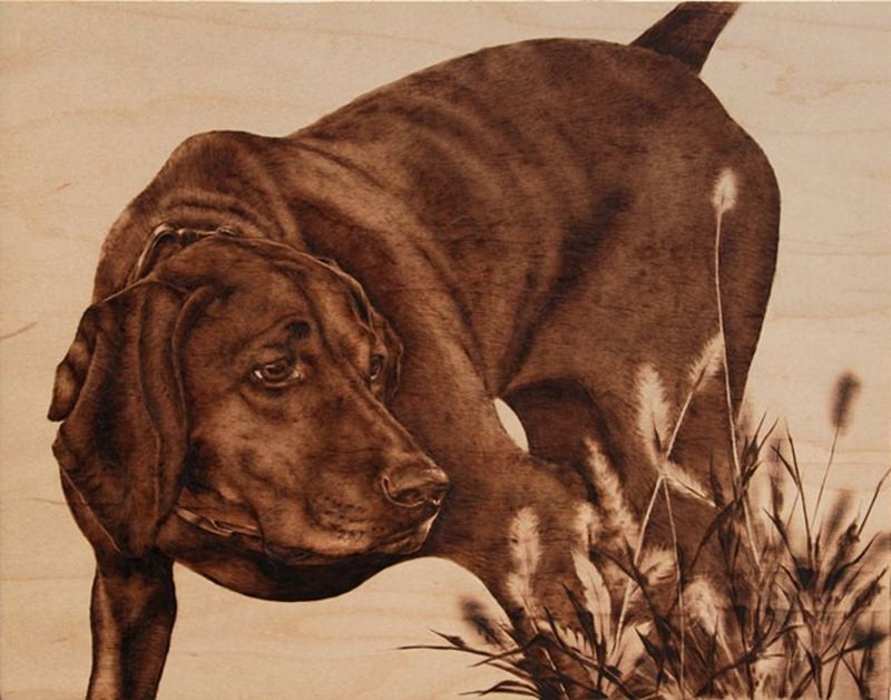 Выжигание по дереву для начинающих, материалы и инструменты, мастер-класс, фото, видео