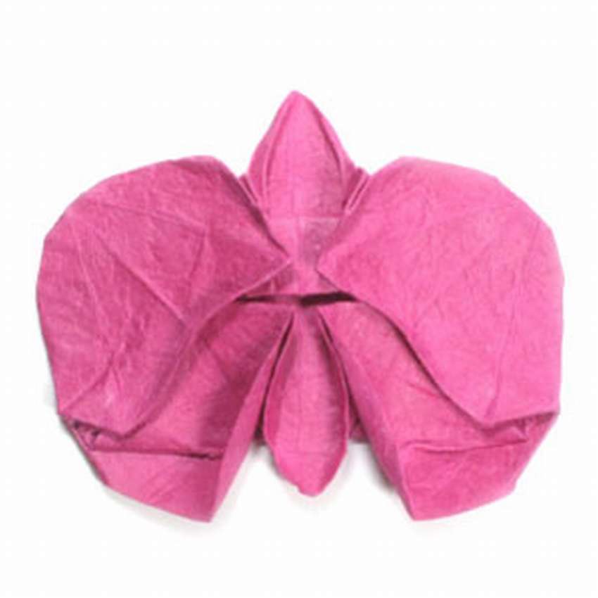 цветок орхидеи оригами