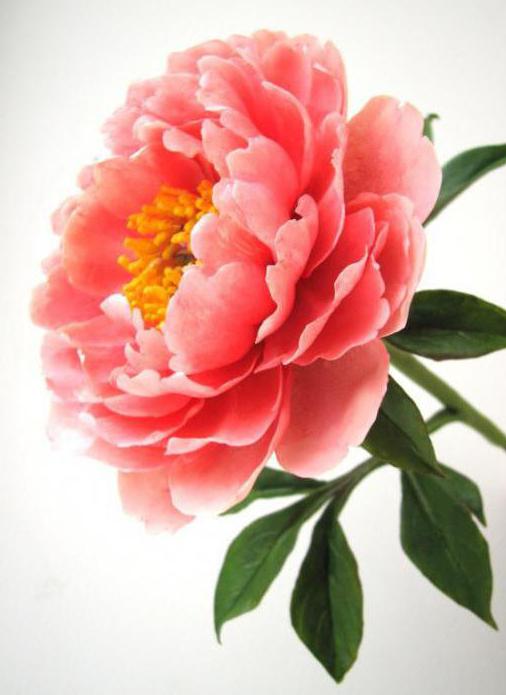 зефирный фоамиран мастер класс