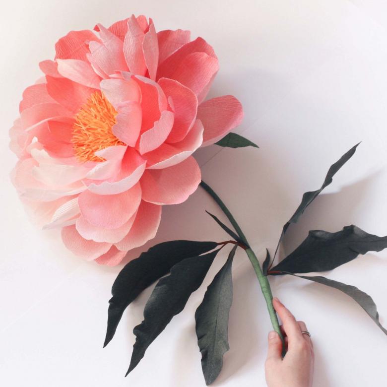 Цветы из бумаги своими руками - 70 фото и 6 мастер-классов, идеи и инструкции как сделать