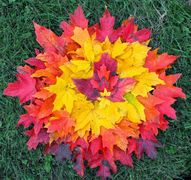 Поделки из листьев - 73 фото идеи изделий из осенних листьев