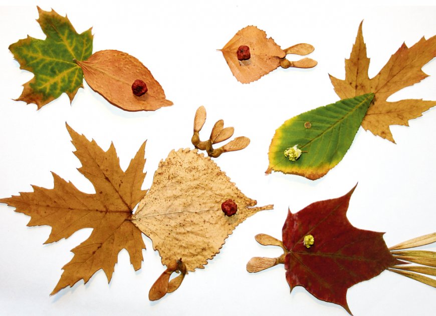 Поделки из листьев - 73 фото идеи изделий из осенних листьев