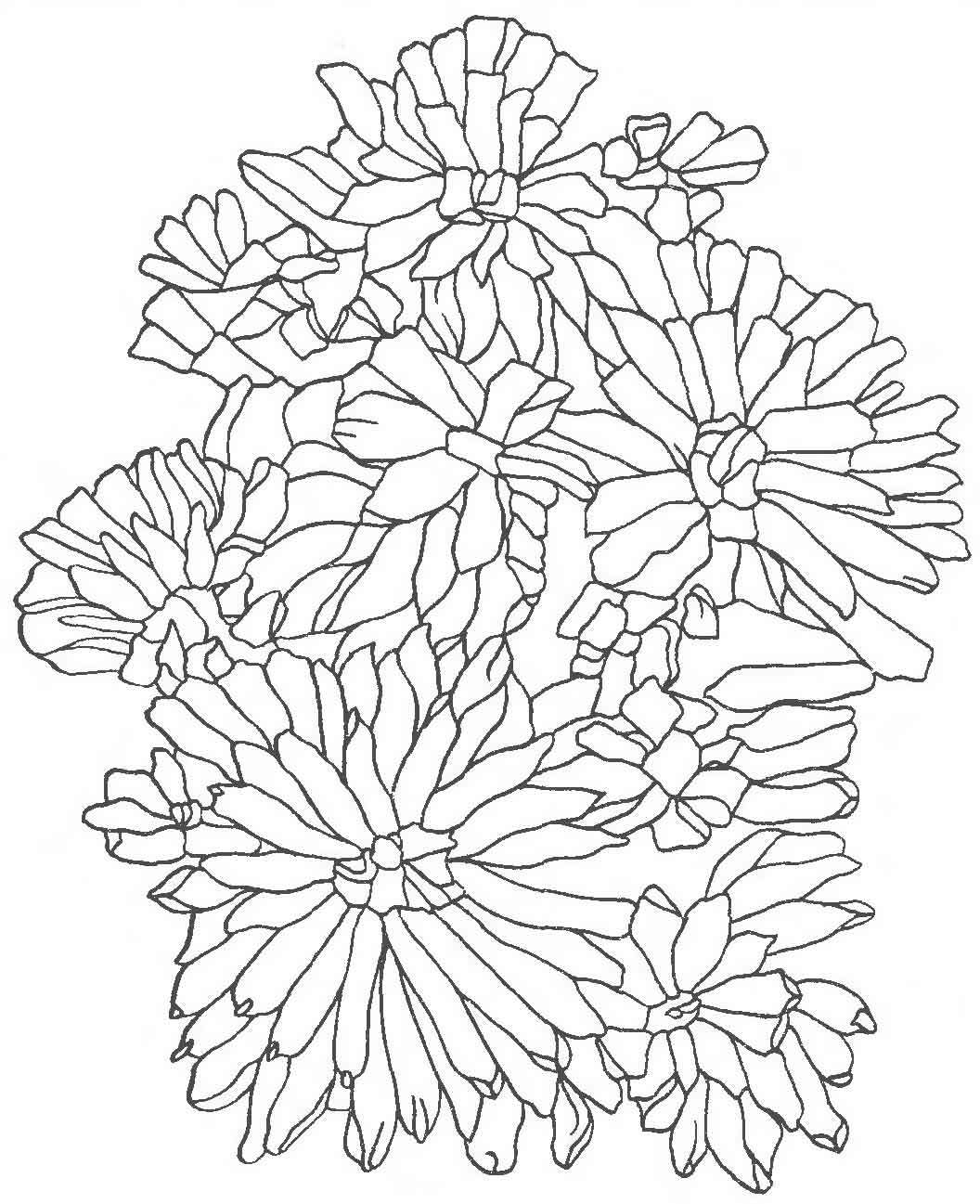 Шаблон для вышивки лентами астры