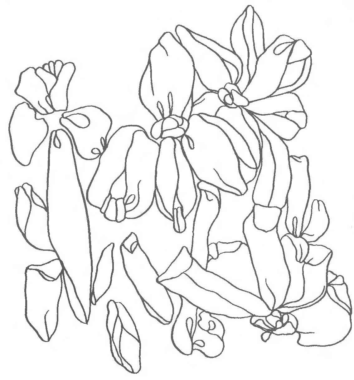 Шаблон для вышивки лентами ирис