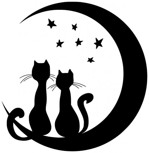 Лаконичные кошки