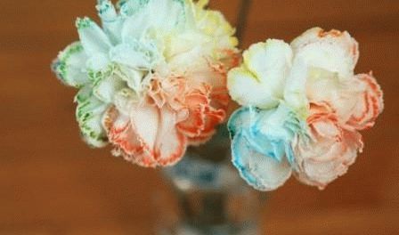 Поделка из салфеток пошаговый мастер-класс создания необычных фигурок быстро и просто 90 фото