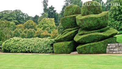 Современный топиарий Современный топиарий