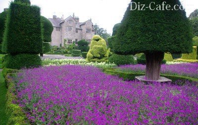 Топиарий в классическом виде Топиарий в классическом виде