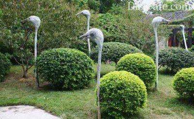 Каркасный топиарий страусы Каркасный топиарий страусы