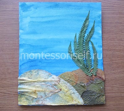 Водоросли из паратника