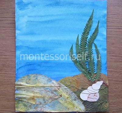 Ракушка из коры