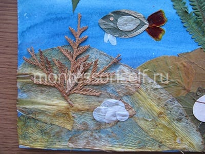 Водоросли из веточек