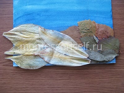 Листики для морского дна