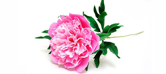 Пион из фоамирана