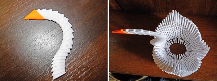 Прикрепление шеи и головы к туловищу птицы