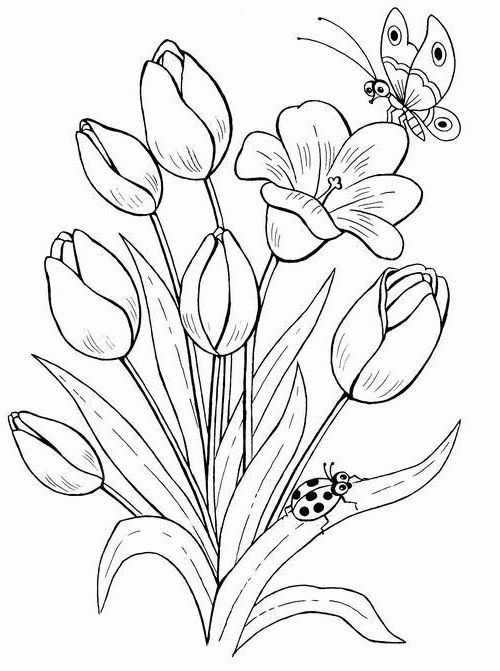 Вышивка лентами цветы для начинающих, рекомендации в необычной технике, схемы и фото композиций полевых букетов