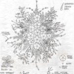 Вышивка лентами цветы для начинающих, рекомендации в необычной технике, схемы и фото композиций полевых букетов