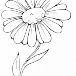 Вышивка лентами цветы для начинающих, рекомендации в необычной технике, схемы и фото композиций полевых букетов