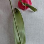 Вышивка лентами цветы для начинающих, рекомендации в необычной технике, схемы и фото композиций полевых букетов