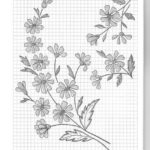 Вышивка лентами цветы для начинающих, рекомендации в необычной технике, схемы и фото композиций полевых букетов