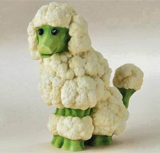 Пудель из цветной капусты