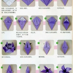 Оригами цветок из бумаги схема: от кактуса до розы