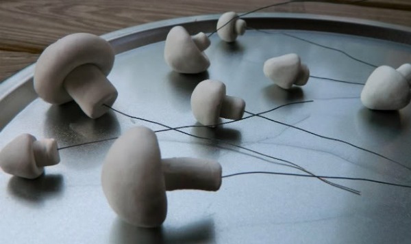 Поделки из соленого теста для начинающих и детей. Мастер классы своими руками, пошаговые инструкции с фото