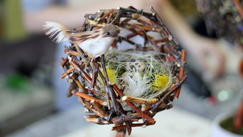 Как сделать топиарий своими руками: пошаговая инструкция для работ