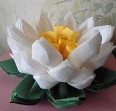 Цветы из салфеток своими руками: варианты изготовления бумажных цветов (100 фото)