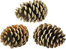 Как сделать рождественский венок своими руками - 150 фото идей создания, подробный видео мастер-класс для начинающих