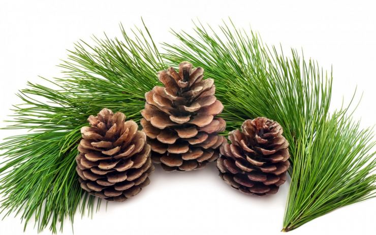 Как сделать рождественский венок своими руками - 150 фото идей создания, подробный видео мастер-класс для начинающих