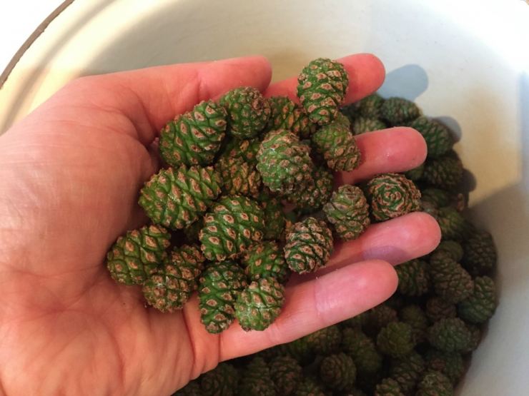 Как сделать рождественский венок своими руками - 150 фото идей создания, подробный видео мастер-класс для начинающих