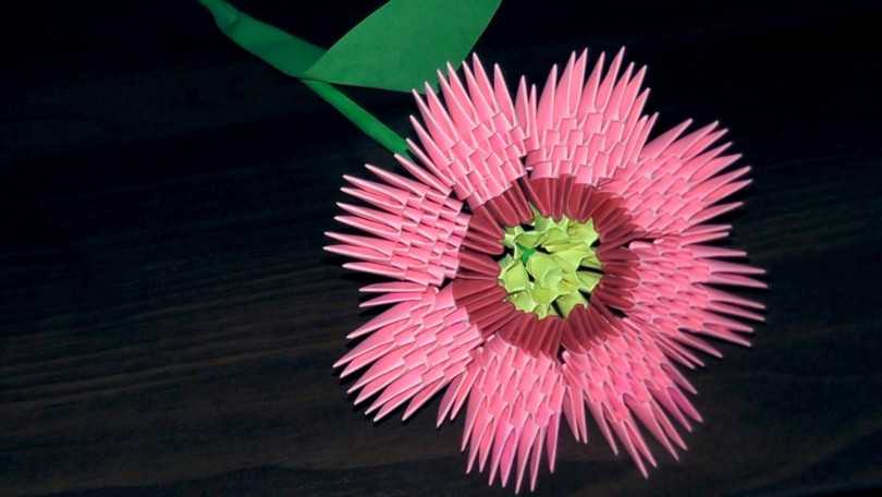 Оригами цветок из бумаги схема: от кактуса до розы
