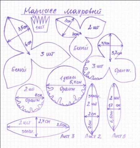 Фоамиран. Выкройки цветов