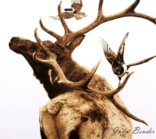 Как выжигать по дереву для начинающих: лучшие идеи и дельные советы