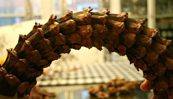 Как сделать венок своими руками на Новый год (15 пошаговых мастер-классов)