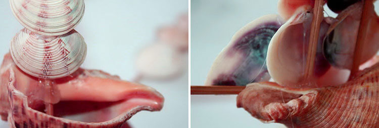 Кораблик для детей: различные способы создания со схемами и описанием Кораблик для детей: различные способы создания со схемами и описанием 98 99