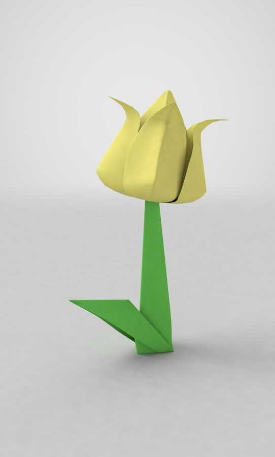 Оригами цветок из бумаги схема: от кактуса до розы