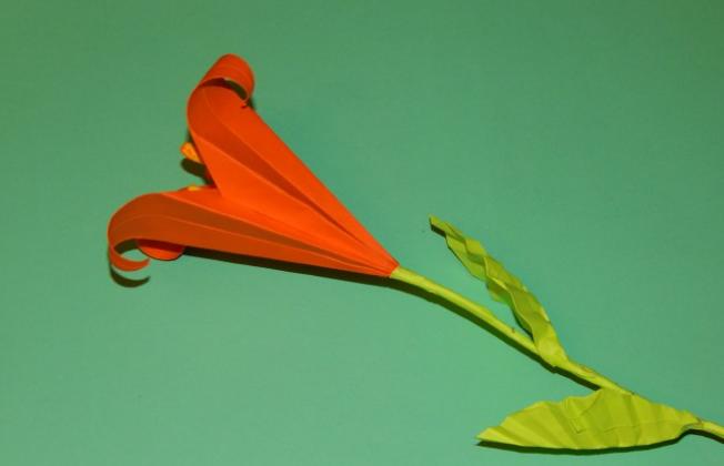 Цветы из бумаги — схемы и шаблоны для создания бумажных цветов этап 126 Цветы из бумаги — схемы и шаблоны для создания бумажных цветов этап 126