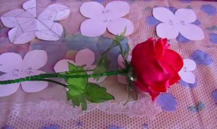 Цветы из фоамирана