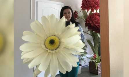 Цветы из фоамирана