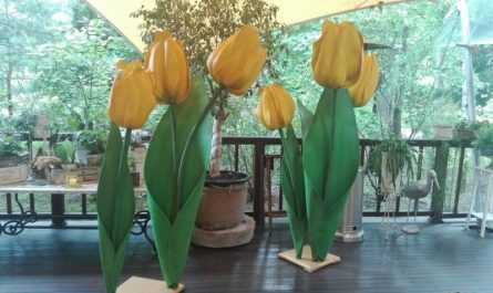 Цветы из фоамирана