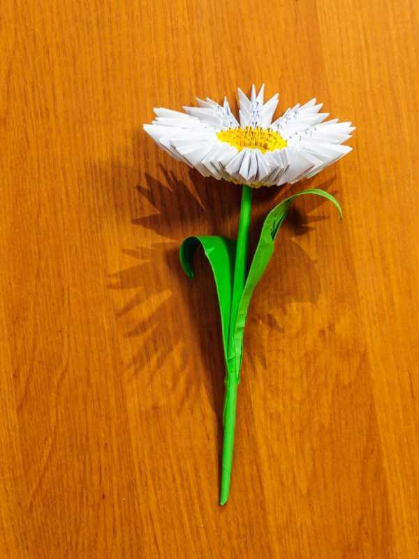 Оригами цветок из бумаги схема: от кактуса до розы