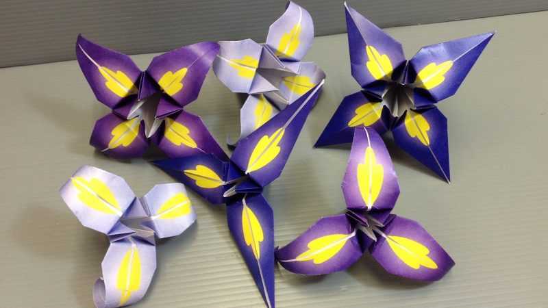 Оригами цветок из бумаги схема: от кактуса до розы