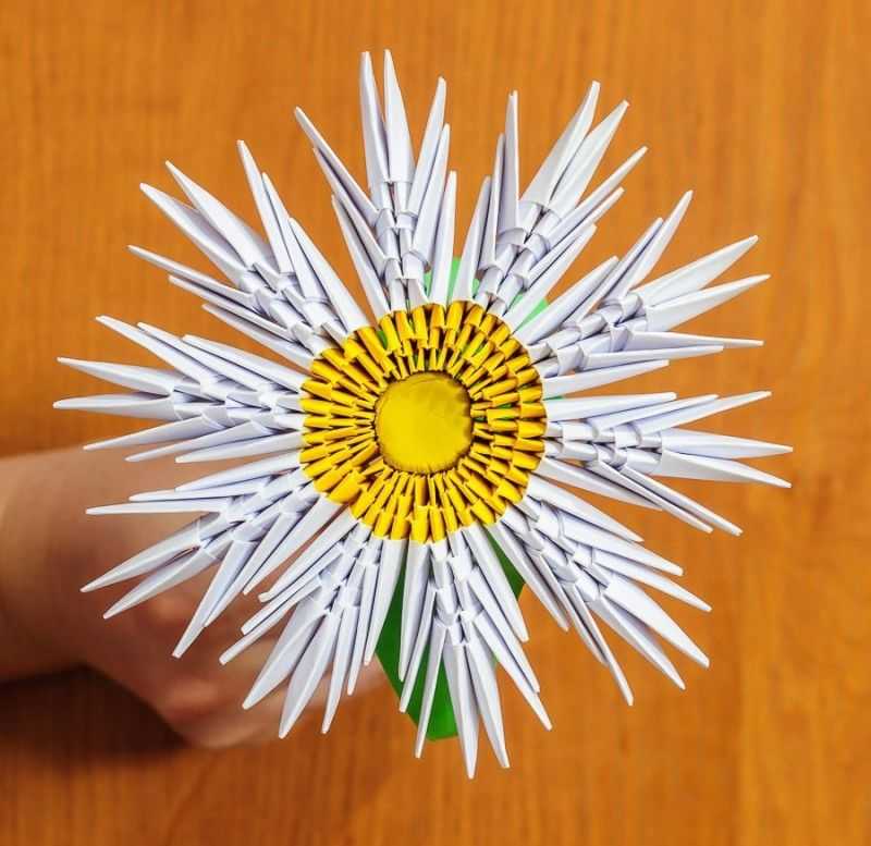 Оригами цветок из бумаги схема: от кактуса до розы