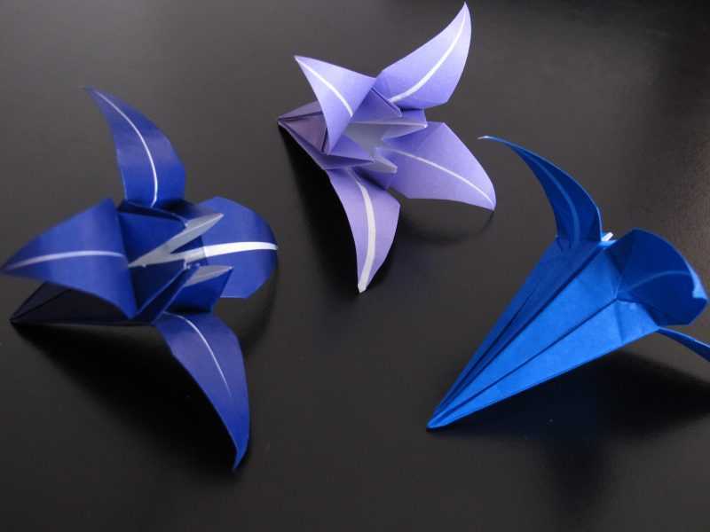 Оригами цветок из бумаги схема: от кактуса до розы