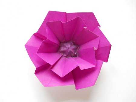 Оригами цветок из бумаги схема: от кактуса до розы