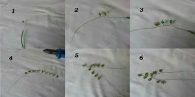 Учимся делать бисероплетение своими руками поэтапно: легкий мастер-класс для начинающих